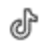 Tiktok Icon Link